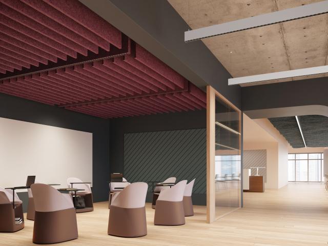 Acoustic Baffles